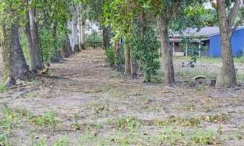 Imagem 7: Imóvel rural em Cidreira: Sitio na Estância da Lagoa