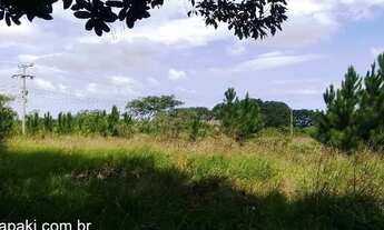 Imagem: Terreno com 3 Dormitorio(s) localizado(a)