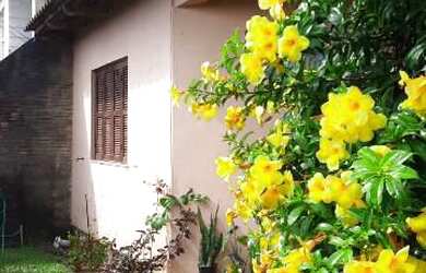 Imagem 6: Casa em Bairro de Moradores em Tramandaí!