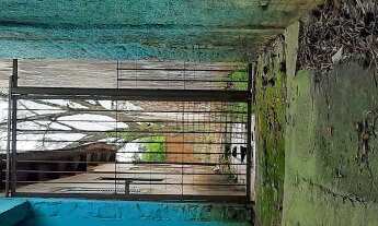 Imagem 3: Ótimo terreno, 6502M² de Área Total