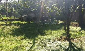 Imagem 5: Casa com 2 Dormitorio(s) localizado(a) no bairro XAGRILÁ em Cachoeira do Sul / Rio Grande