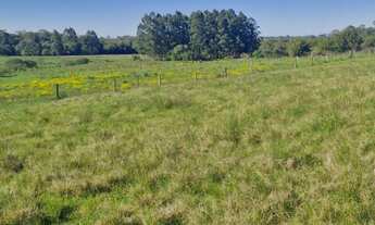 Imagem: ÁREA DE TERRA