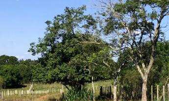 Imagem: Terreno à venda