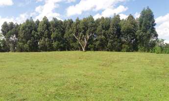 Imagem 2: Área de Terra com 2 Dormitorio(s) localizado(a) no bairro ÁGUAS MORNAS em Cachoeira do Su