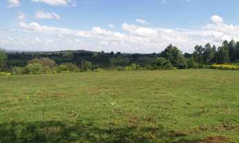 Imagem 3: Área de Terra com 2 Dormitorio(s) localizado(a) no bairro ÁGUAS MORNAS em Cachoeira do Su