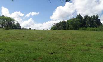 Imagem 6: Área de Terra com 2 Dormitorio(s) localizado(a) no bairro ÁGUAS MORNAS em Cachoeira do Su