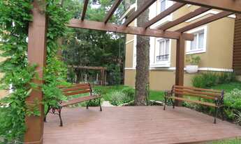 Imagem 4: Apartamento com 2 Dormitorio(s) localizado(a) no bairro VILA SUZANA em CANELA / Rio Grand