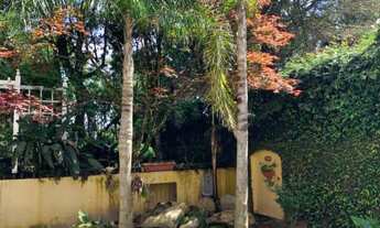 Imagem 4: Imóveis em gramado