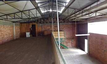 Imagem 6: Pavilhão com 3 Dormitorio(s) localizado(a) no bairro Rincão em Novo Hamburgo / Rio Grande