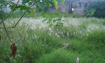 Imagem: Terreno com 3 Dormitorio(s) localizado(a)