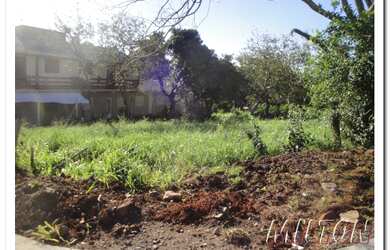 Imagem 2: Terreno com 3 Dormitorio(s) localizado(a) no bairro Boa Saúde em Novo Hamburgo / Rio Gran