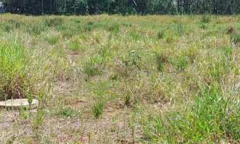 Imagem 2: Terreno com 3 Dormitorio(s) localizado(a) no bairro Loteamento Alles Blau em Igrejinha