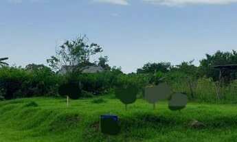 Imagem: Terreno com 2 Dormitorio(s) localizado(a)