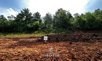 Imagem: Imperdível!, 203M² de Área Total