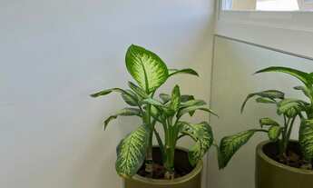 Imagem 5: Sala Comercial com 1 Dormitorio(s) localizado(a) no bairro Vila Nova em Igrejinha / Rio G