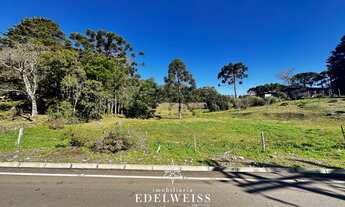 Imagem 6: Área de Terra à venda em Serra Grande, Igrejinha - Oportunidade única!