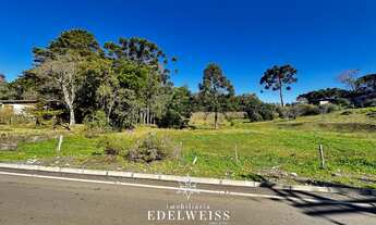 Imagem 2: Área de Terra à venda em Serra Grande, Igrejinha - Oportunidade única!