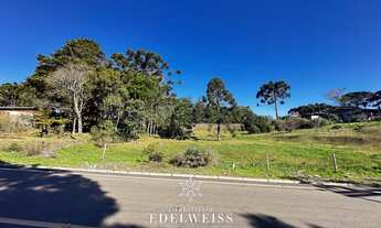 Imagem 5: Área de Terra à venda em Serra Grande, Igrejinha - Oportunidade única!