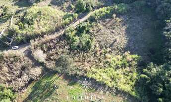 Imagem 4: Terreno à venda em Igrejinha, Lajeadinho: oportunidade única!