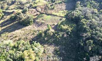 Imagem 6: Terreno à venda em Igrejinha, Lajeadinho: oportunidade única!