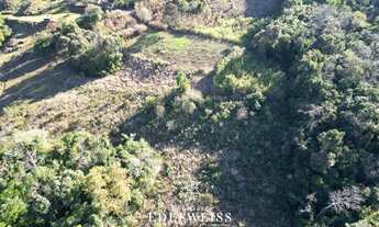 Imagem 7: Terreno à venda em Igrejinha, Lajeadinho: oportunidade única!