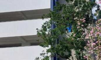 Imagem: Sala Comercial com 2 Dormitorio(s) localizado(a)