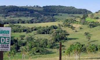 Imagem 4: Área de Terra com 2 Dormitorio(s) localizado(a) no bairro Lajeadinho em Igrejinha / Rio G