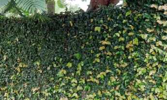 Imagem 7: Casa com 3 Dormitorio(s) localizado(a) no bairro MOINHO em Igrejinha / Rio Grande do Sul