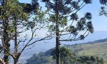 Imagem 1: Área de Terra com 4 Dormitorio(s) localizado(a) no bairro Lajeadinho em Igrejinha / Rio G