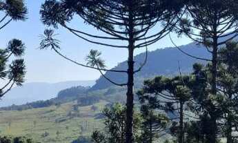 Imagem 2: Área de Terra com 4 Dormitorio(s) localizado(a) no bairro Lajeadinho em Igrejinha / Rio G