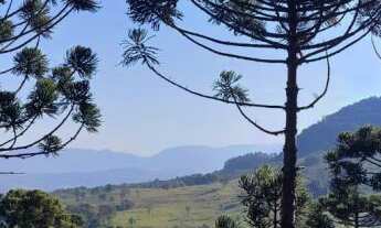 Imagem 3: Área de Terra com 4 Dormitorio(s) localizado(a) no bairro Lajeadinho em Igrejinha / Rio G