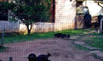 Imagem 7: Casa com 2 Dormitorio(s) localizado(a) no bairro Marina em Arinos / Rio Grande do Sul Ref