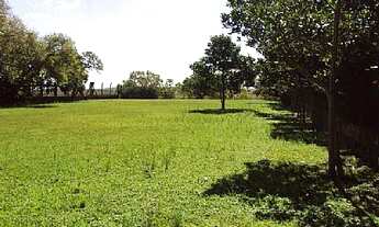 Imagem 3: Barranca de rio, em Imbé!
