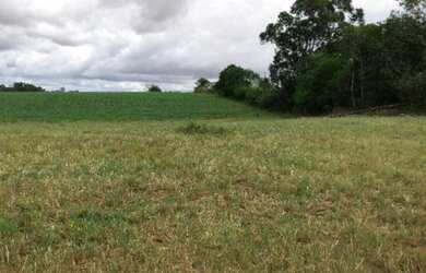 Imagem 4: Área de Terra com 3 Dormitorio(s) localizado(a) no bairro Zona Rural em Nova Santa Rita