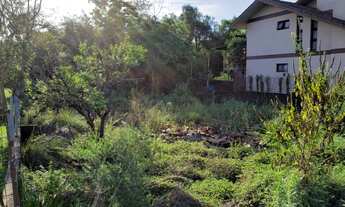 Imagem 7: TERRENO COMERCIAL PORTÃO 100metros da RS 240