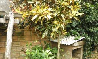 Imagem 2: Casa com 3 Dormitorio(s) localizado(a) no bairro em Lima Duarte / Rio Grande do Sul Ref