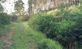 Imagem 3: Terreno com 3 Dormitorio(s) localizado(a) no bairro Vale Verde em Rajada (Petrolina) / Ri