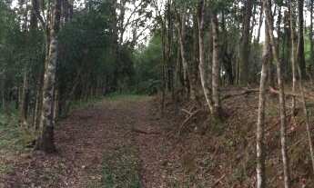 Imagem 4: Terreno com 3 Dormitorio(s) localizado(a) no bairro Vale Verde em Rajada (Petrolina) / Ri