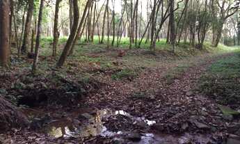 Imagem 5: Terreno com 3 Dormitorio(s) localizado(a) no bairro Vale Verde em Rajada (Petrolina) / Ri