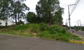 Imagem 2: Terreno com 2 Dormitorio(s) localizado(a) no bairro Jardim Briquet em Douradina / Rio Gra