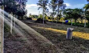 Imagem: Terreno com 3 Dormitorio(s) localizado(a)