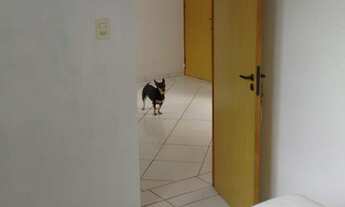 Imagem 2: Apartamento com 2 Dormitorio(s) localizado(a) no bairro em Douradina / Rio Grande do Sul