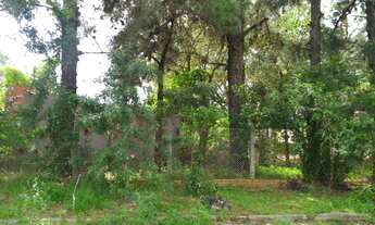 Imagem 2: Terreno com 3 Dormitorio(s) localizado(a) no bairro Jardim Marília em Douradina / Rio Gra