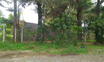 Imagem 4: Terreno com 3 Dormitorio(s) localizado(a) no bairro Jardim Marília em Douradina / Rio Gra