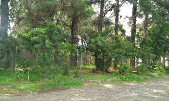 Imagem 5: Terreno com 3 Dormitorio(s) localizado(a) no bairro Jardim Marília em Douradina / Rio Gra