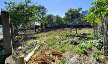 Imagem 6: Terreno com 3 Dormitorio(s) localizado(a) no bairro Jardim Marília em Douradina / Rio Gra