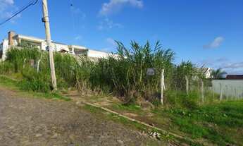Imagem 2: Terreno com 3 Dormitorio(s) localizado(a) no bairro Jardim Marília em Douradina / Rio Gra