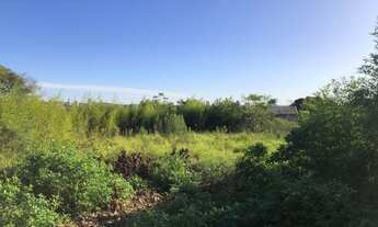 Imagem: Terreno com 5 Dormitorio(s) localizado(a)