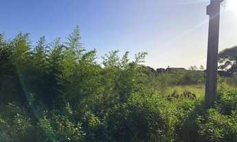 Imagem 3: Terreno com 5 Dormitorio(s) localizado(a) no bairro em Douradina / Rio Grande do Sul Ref