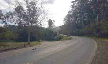 Imagem 2: Área com 10.000 metros quadrados em Campo Bom